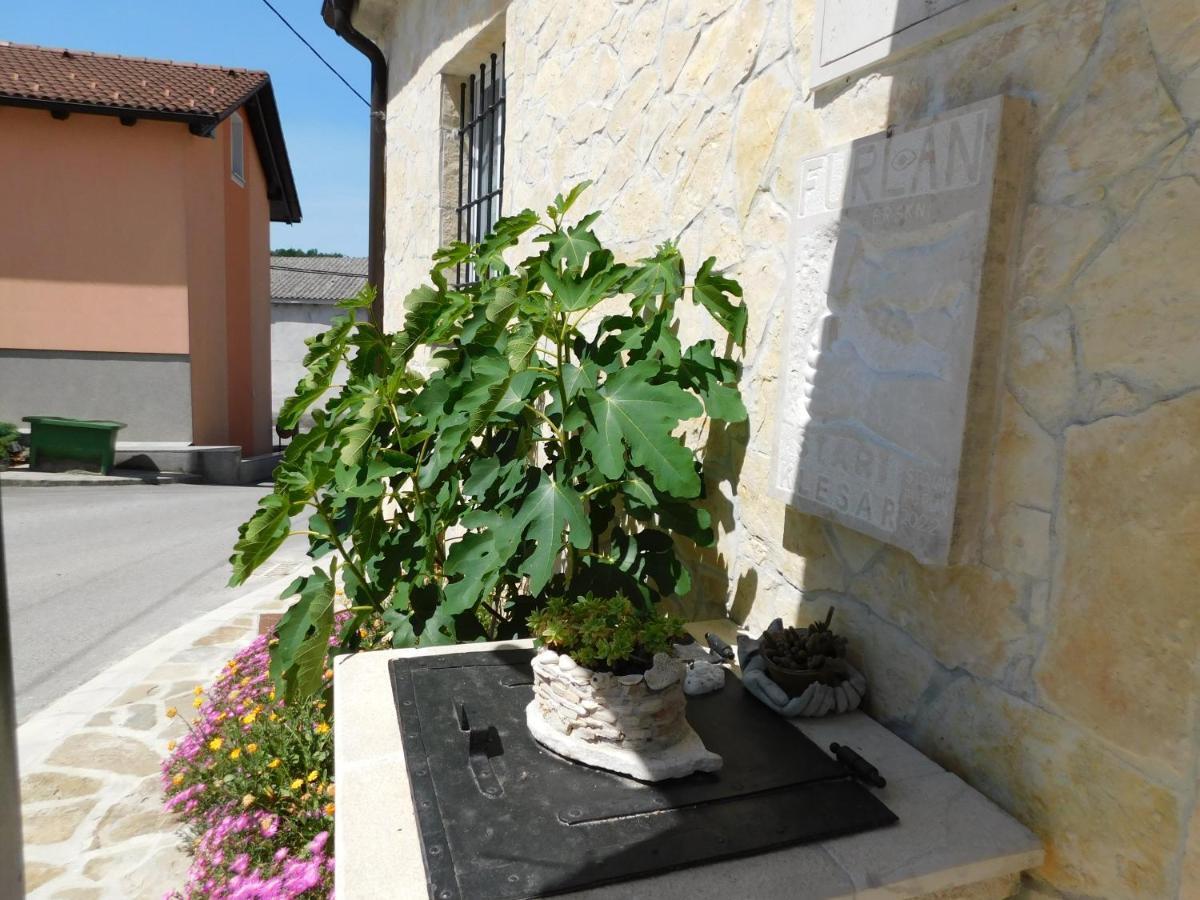 Kamnita Hisa Stari Klesar Villa Ilirska Bistrica Luaran gambar